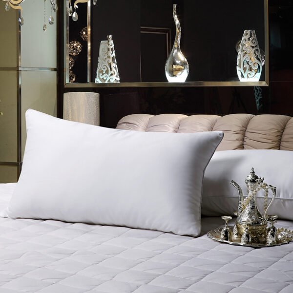 1 Pillow IV