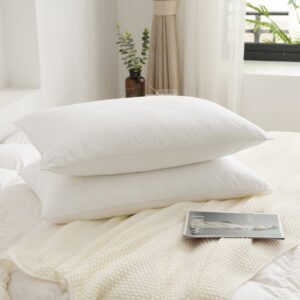 Pillow I