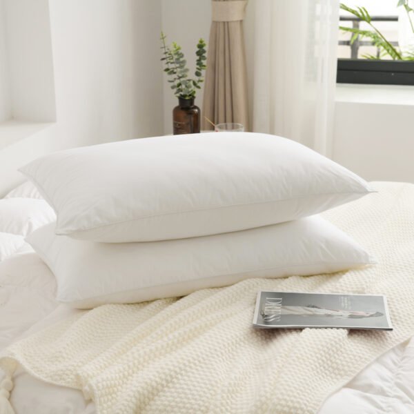 Pillow I
