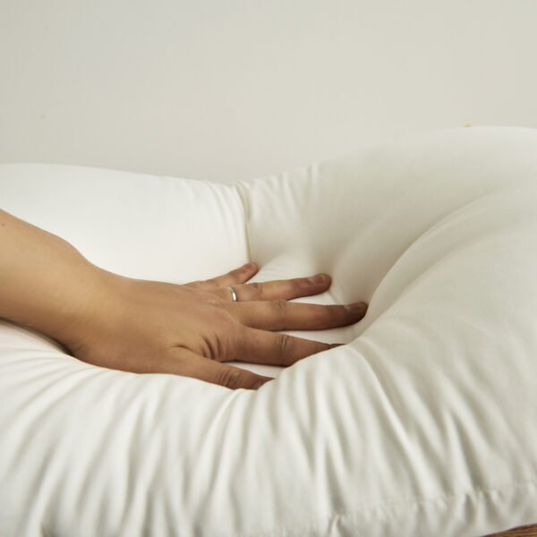 东京半岛酒店枕芯1 (13) Pillow III